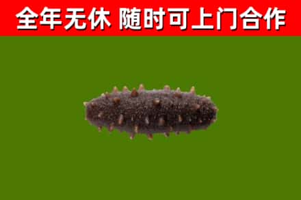 元江县烟酒回收干海参.jpg